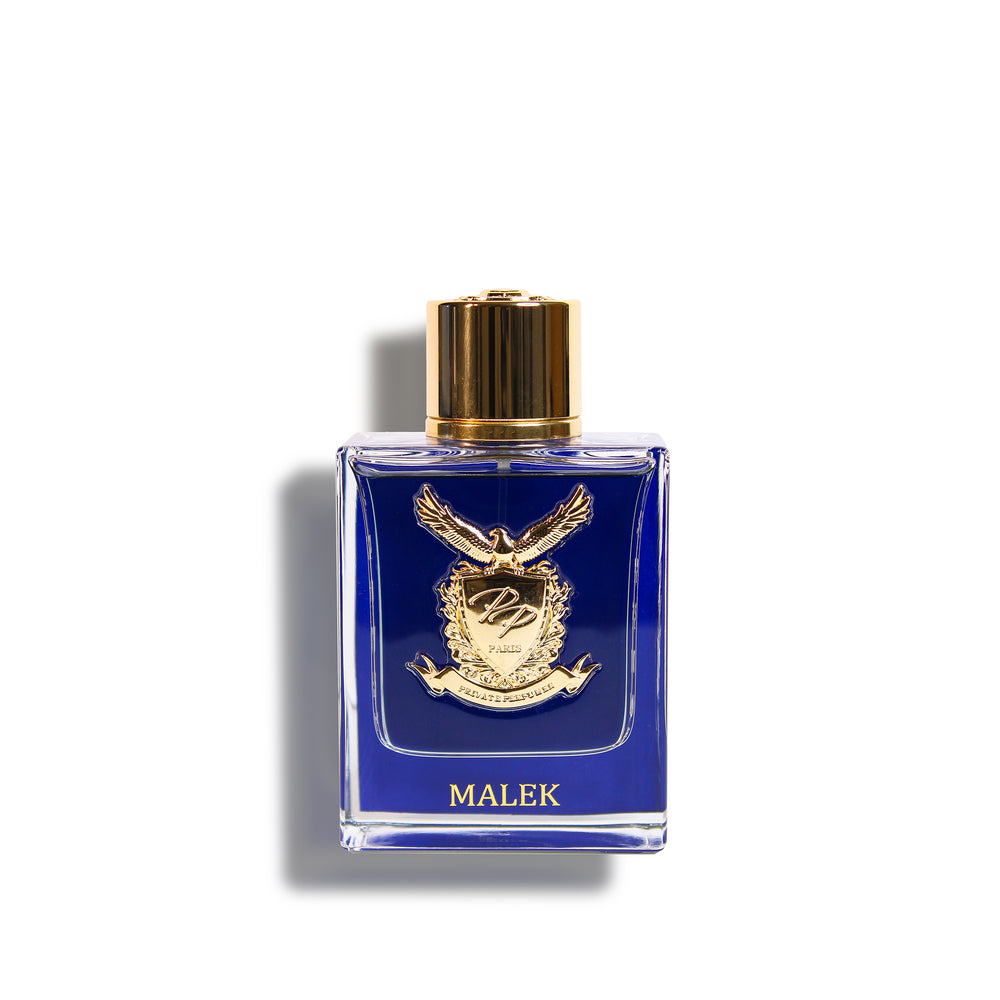 PP_Malek_6